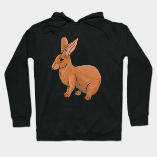 Bun Bun Hoodie